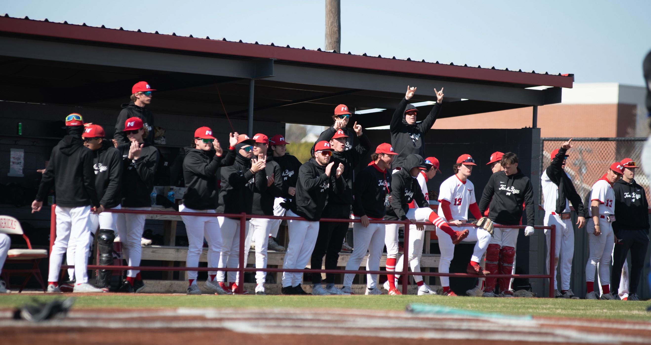 Johnson's home run leads Mavs over Rose State
